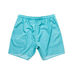 Sandbar Pool Shorts // Teal (S)