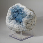 Genuine Blue Celestite Crystal Cluster