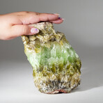 Genuine Green Calcite Crystal Cluster V2