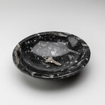 Genuine Polished Orthoceras Fossil Bowl