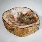 Genuine Petrified Wood Bowl