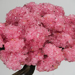 Custom Rose Quartz Clustered Gemstone Tree on Druzy Stalactite Matrix