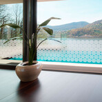 Blackout Circle For Window And Shower Door // 50 Stickers