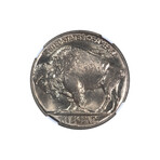 1938-D Buffalo Nickel // NGC Certified MS67+ // Deluxe Collector's Pouch