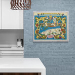 Les Vignobles de France // Vins d'Algerie (19.75"H x 24"W)