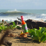 Apples on Fire Hot Sauce // Set of 4