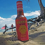 Chipotle Bueno Hot Sauce // Set of 4