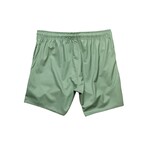 Sandbar Board Shorts // Dark Ivy (S)