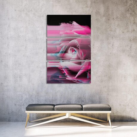 Rosa Rosae by Emanuela Carratoni