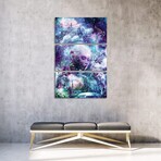 Discovering The Cosmic Consciousness by Cameron Gray