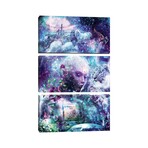 Discovering The Cosmic Consciousness by Cameron Gray