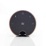 Wavee W-1 Toothbrush Speaker System // Cool Gray