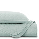 Southshore Essentials Quilt Set // Hint of Green (King / California King)