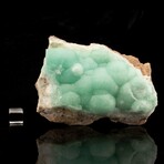 Green Aragonite // Ver. 2