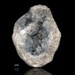 Blue Celestite Geode // Ver. 2