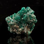 Dioptase // Ver. 1