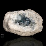 Blue Celestite Geode // Ver. 1