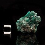Dioptase // Ver. 1