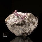 Rubies in Marble Matrix // Ver. 2