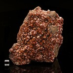 Vanadinite on Matrix