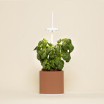 NANO Garden // Includes 1 Basil Pod // Terracota