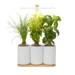 Lilo Connect Smart Garden // Includes Basil, Lemon Basil + Chives Pods