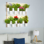 Modulo Vertical Smart Garden // Includes Basil, Lemon Basil, Chives + Leaf Mustard Pods