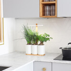 Lilo Connect Smart Garden // Includes Basil, Lemon Basil + Chives Pods