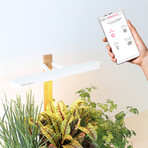Lilo Connect Smart Garden // Includes Basil, Lemon Basil + Chives Pods