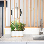 Lilo Connect Smart Garden // Includes Basil, Lemon Basil + Chives Pods