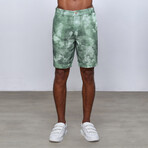 Fern Bermuda Shorts // Green + White (2XL)