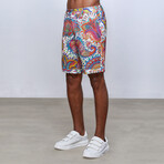 Capri Paisley Bermuda Shorts // Multicolor (L)