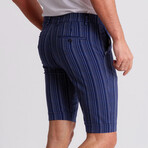 Porter Shorts // Dark Blue (31)