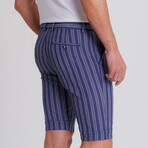 Mack Shorts // Indigo (31)