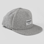 Glacier Snapback Cap // Gray