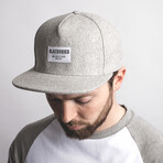 Glacier Snapback Cap // Gray