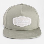 Oasis Snapback Cap // Sage Green + Gray