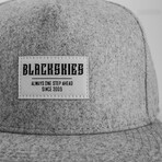 Glacier Snapback Cap // Gray