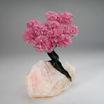 The Love Tree // Rose Quartz Clustered Gemstone Tree on Rose Quartz Matrix