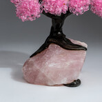 The Eternal Love Tree // Rose Quartz Clustered Gemstone Tree on Rose Quartz Matrix // Medium