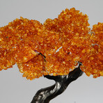The Calming Tree // Citrine Clustered Gemstone Tree on Citrine Matrix