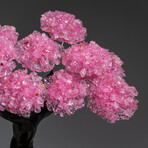 The Eternal Love Tree // Rose Quartz Clustered Gemstone Tree on Rose Quartz Matrix // Medium