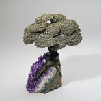 Genuine Pyrite Clustered Gemstone Tree on Amethyst Matrix // Large