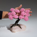 Large Genuine Rose Quartz Clustered Gemstone Tree on Rose Quartz Matrix // The Eternal Love Tree