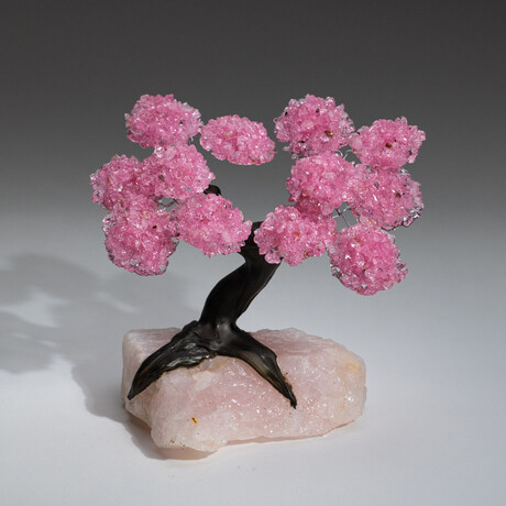 The Eternal Love Tree // Rose Quartz Clustered Gemstone Tree on Rose Quartz Matrix // Large