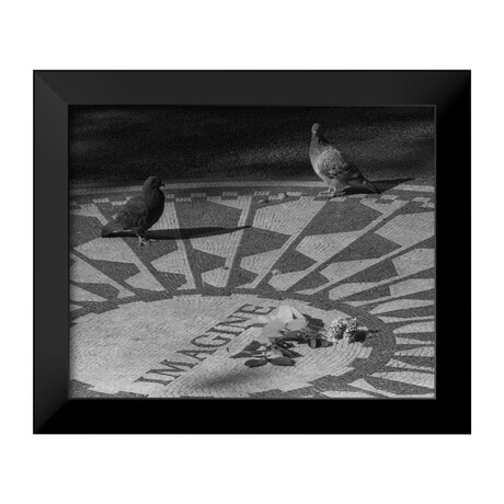 Pigeons On Imagine (13"H x 16"W x 2"D)