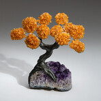 Citrine Gemstone Tree on Amethyst Matrix // The Money Tree // 4.6 lb
