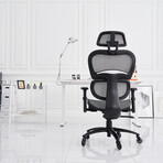 Nouhaus Ergo3D Ergonomic Office Chair // Silver Gray