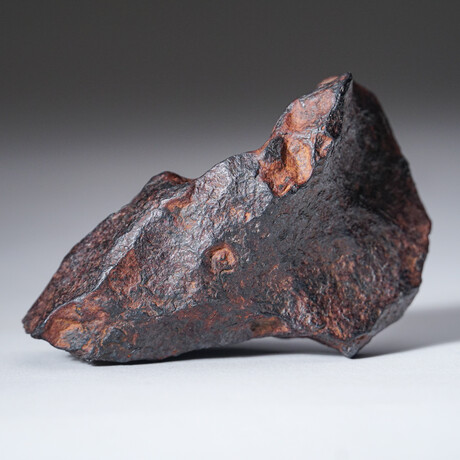 Canyon Diablo Meteorite // 368.5g
