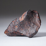 Canyon Diablo Meteorite // 368.5g